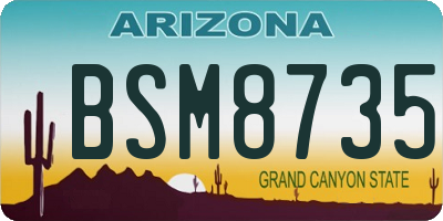 AZ license plate BSM8735