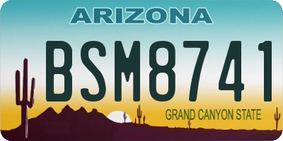 AZ license plate BSM8741