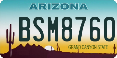 AZ license plate BSM8760