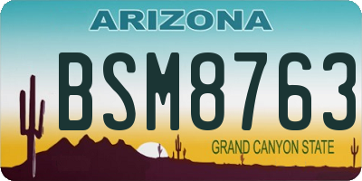 AZ license plate BSM8763