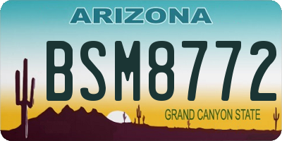 AZ license plate BSM8772