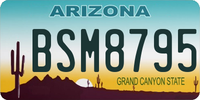 AZ license plate BSM8795
