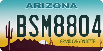 AZ license plate BSM8804