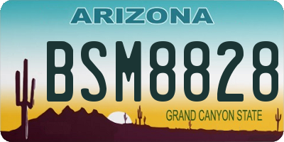 AZ license plate BSM8828