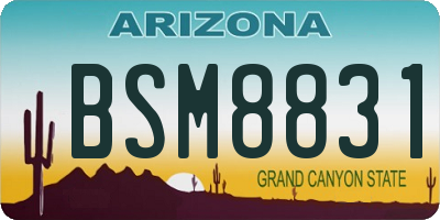 AZ license plate BSM8831