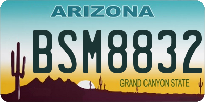 AZ license plate BSM8832