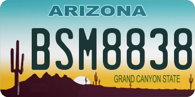 AZ license plate BSM8838