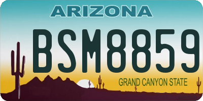 AZ license plate BSM8859