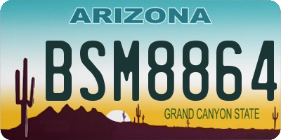 AZ license plate BSM8864