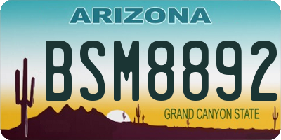 AZ license plate BSM8892