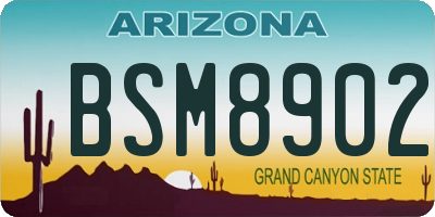 AZ license plate BSM8902