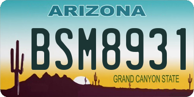 AZ license plate BSM8931