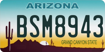 AZ license plate BSM8943