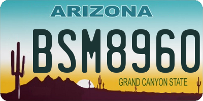 AZ license plate BSM8960
