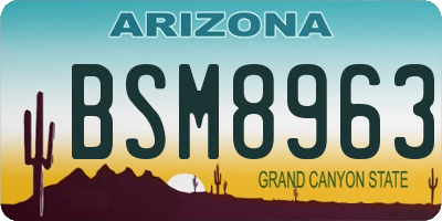 AZ license plate BSM8963