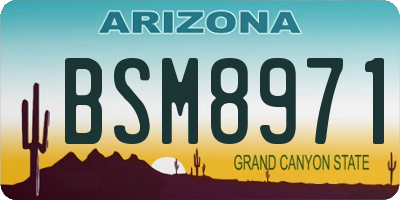 AZ license plate BSM8971