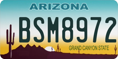 AZ license plate BSM8972