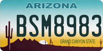 AZ license plate BSM8983