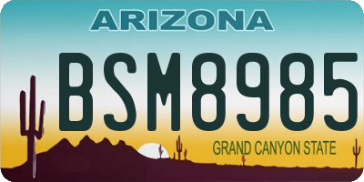 AZ license plate BSM8985