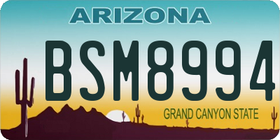 AZ license plate BSM8994