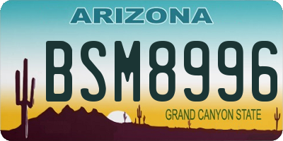 AZ license plate BSM8996