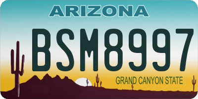 AZ license plate BSM8997