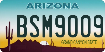AZ license plate BSM9009