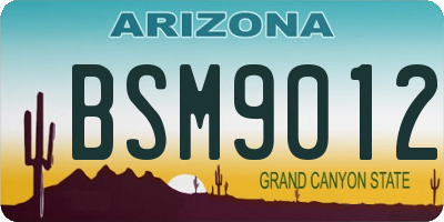 AZ license plate BSM9012