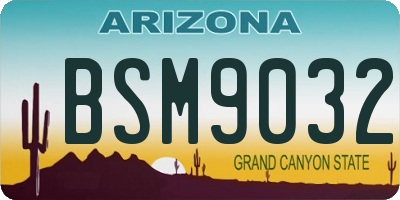 AZ license plate BSM9032
