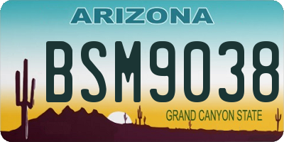 AZ license plate BSM9038