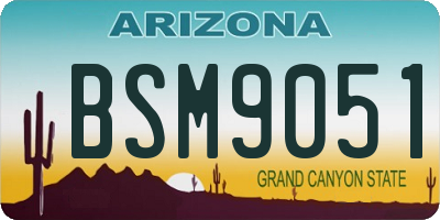 AZ license plate BSM9051