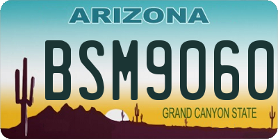 AZ license plate BSM9060
