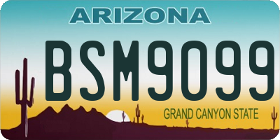 AZ license plate BSM9099