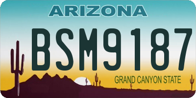 AZ license plate BSM9187