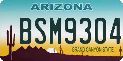 AZ license plate BSM9304