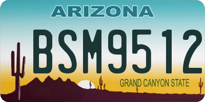 AZ license plate BSM9512