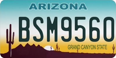 AZ license plate BSM9560
