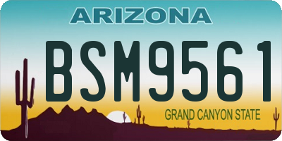 AZ license plate BSM9561