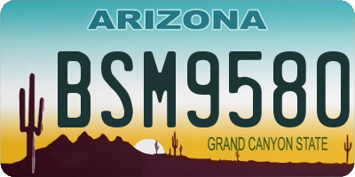 AZ license plate BSM9580