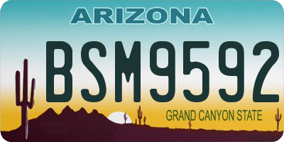 AZ license plate BSM9592