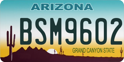 AZ license plate BSM9602