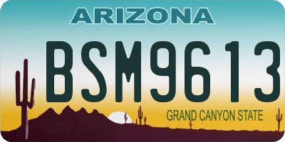 AZ license plate BSM9613