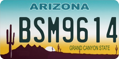 AZ license plate BSM9614