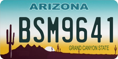 AZ license plate BSM9641