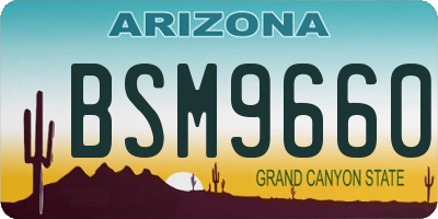AZ license plate BSM9660