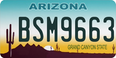 AZ license plate BSM9663