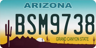 AZ license plate BSM9738