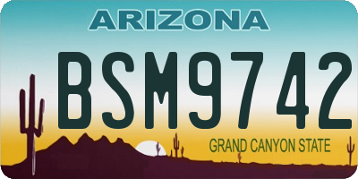 AZ license plate BSM9742