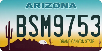 AZ license plate BSM9753