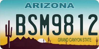 AZ license plate BSM9812